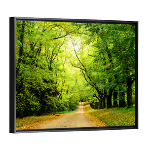 Forest Illuminated Pathway Wall Art