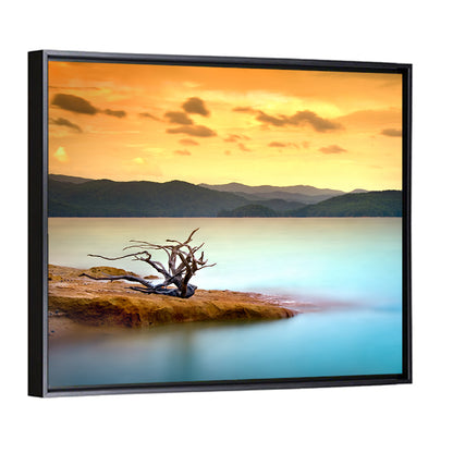 Gnarled Driftwood at Turquoise Lake Wall Art