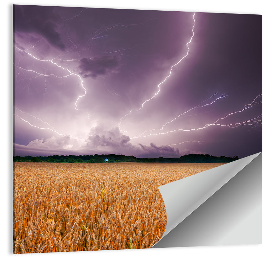 Lightning Over Wheat Field Wall Art