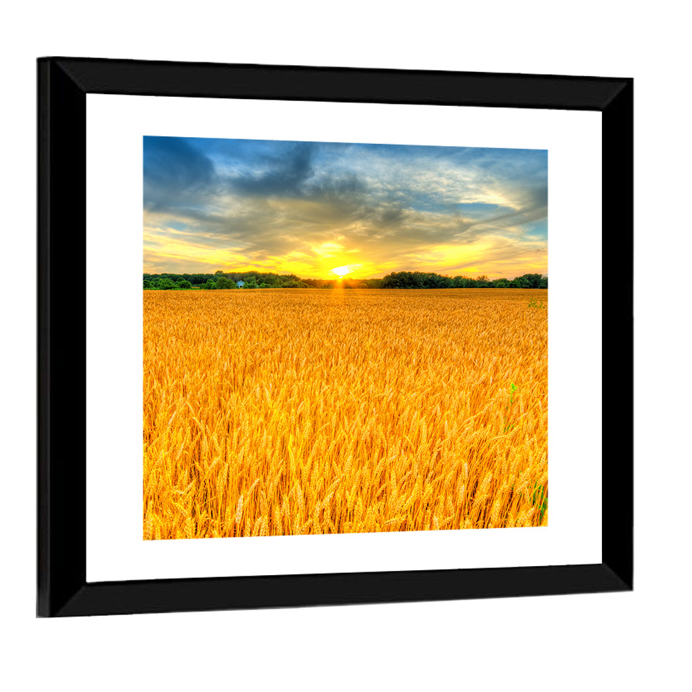 Wheat Field Sunset Wall Art