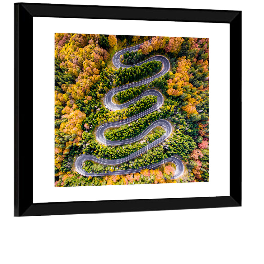 Autumn Winding Forest Road Wall Art