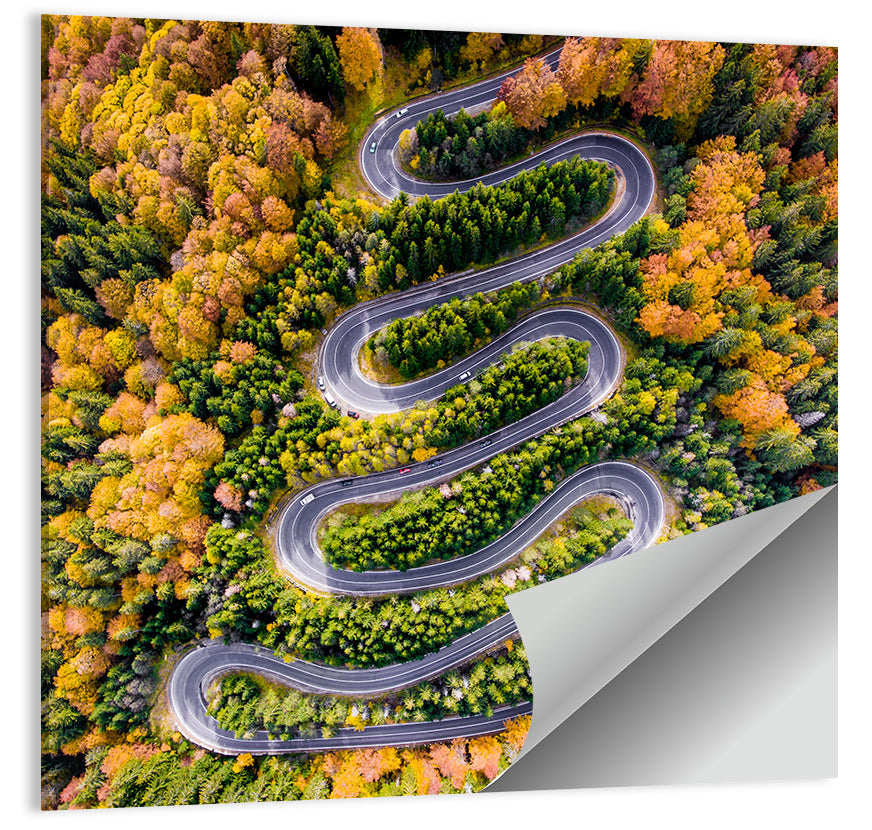 Autumn Winding Forest Road Wall Art