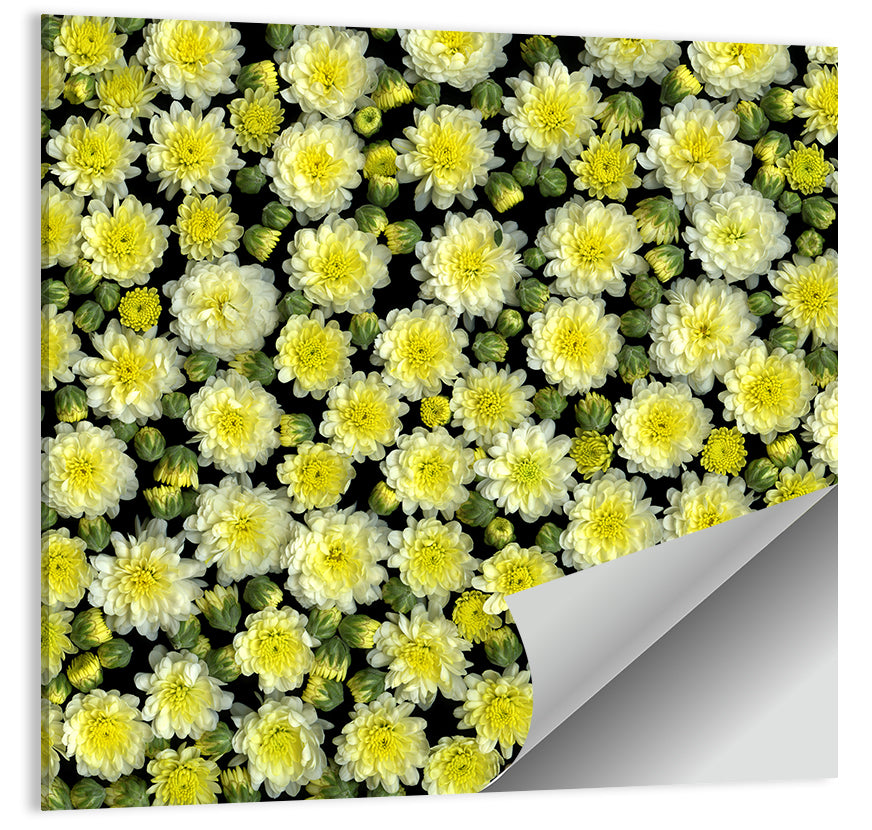 Yellow Chrysanthemum Bloom Pattern Wall Art