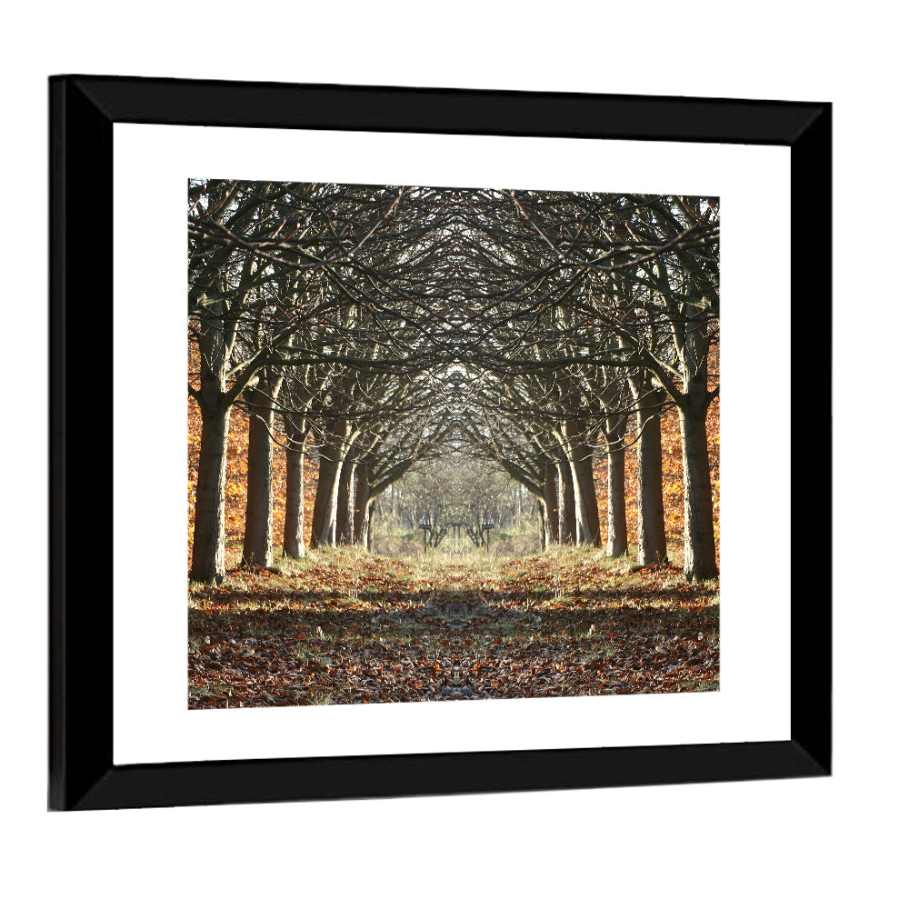 Danish Autumn Tree-lined Path Wall Art