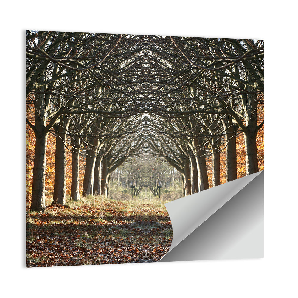 Danish Autumn Tree-lined Path Wall Art