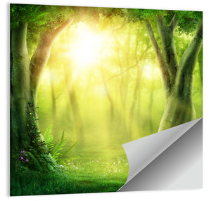 Forest Golden Sunrise Wall Art