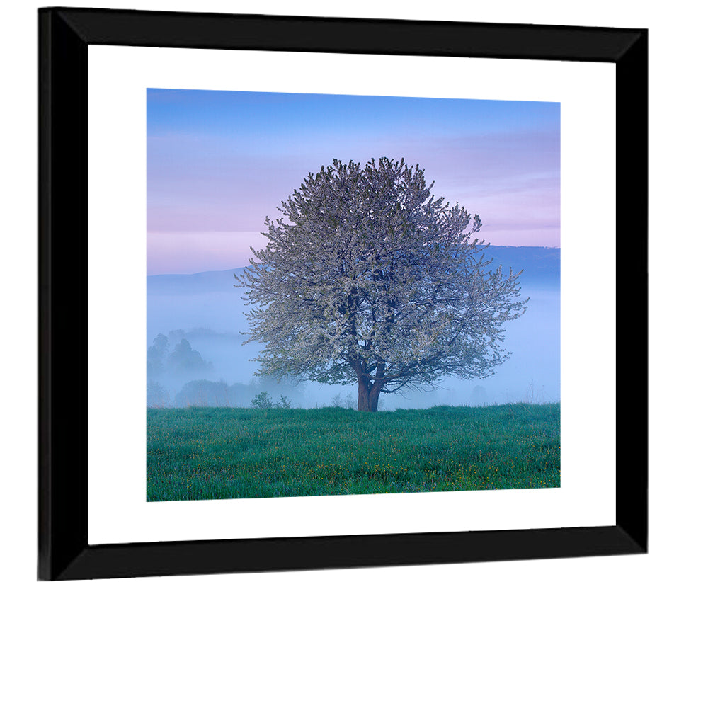 Misty Sumava Mountain Tree Wall Art