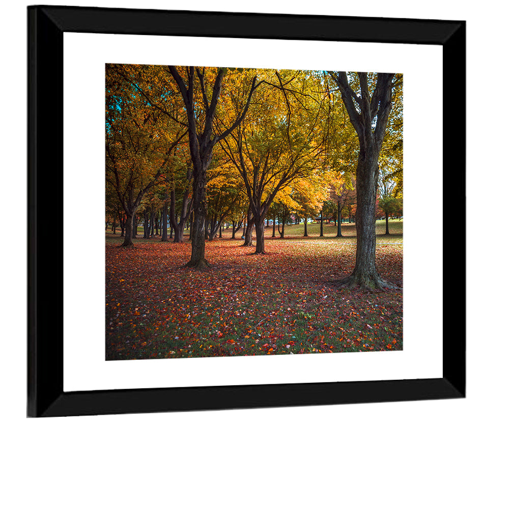 Autumn Park Trees, Pennsylvania Wall Art