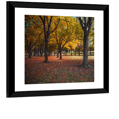 Autumn Park Trees, Pennsylvania Wall Art