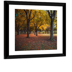 Autumn Park Pennsylvania Wall Art