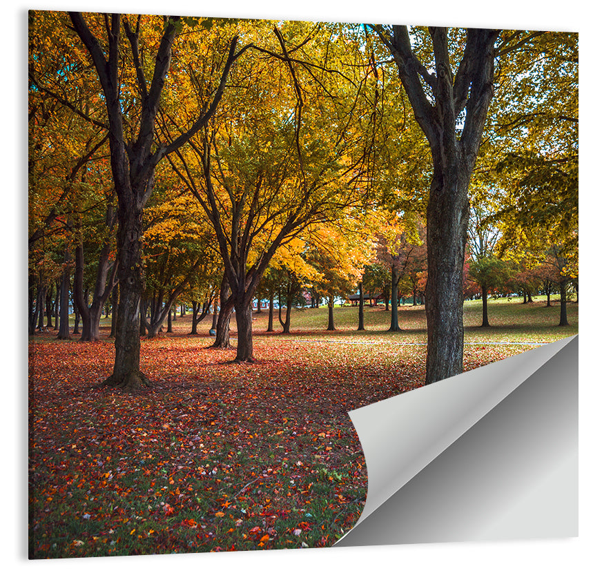Autumn Park Trees, Pennsylvania Wall Art