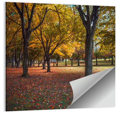Autumn Park Trees, Pennsylvania Wall Art