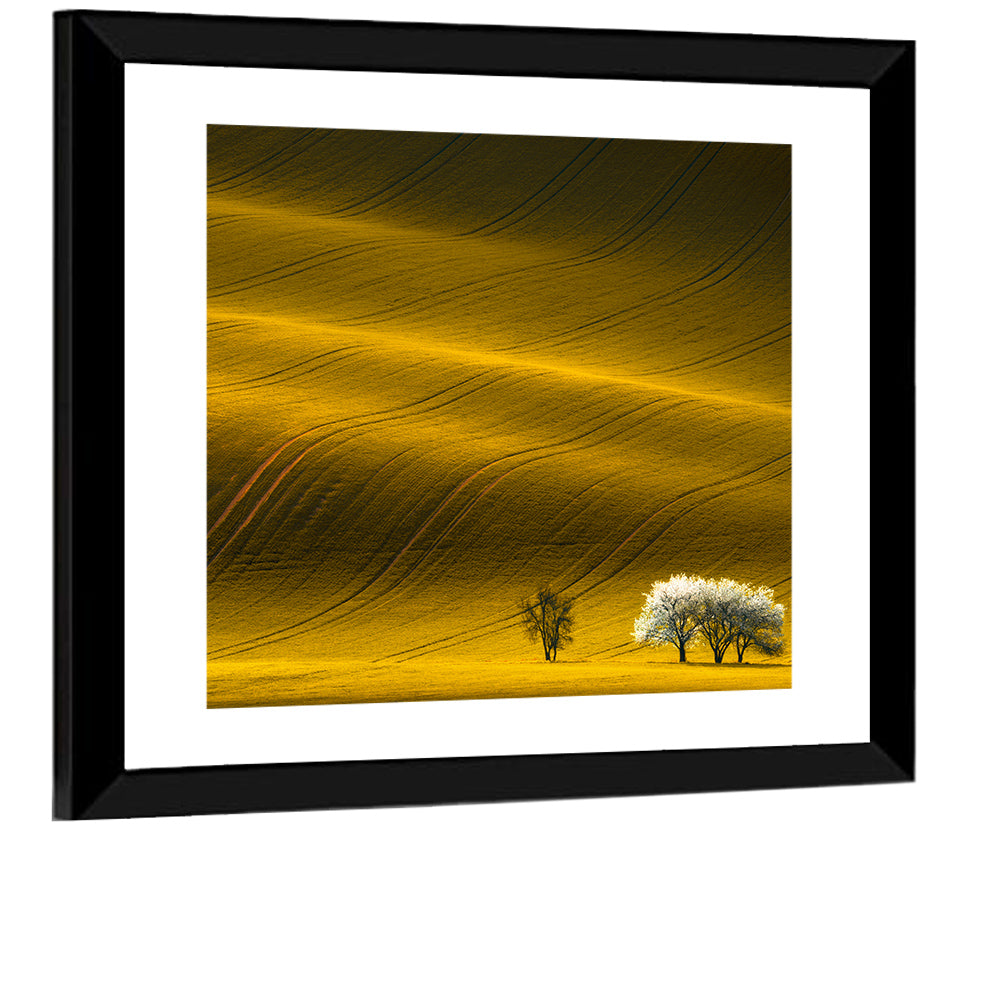 Wavy Rapeseed Field Wall Art