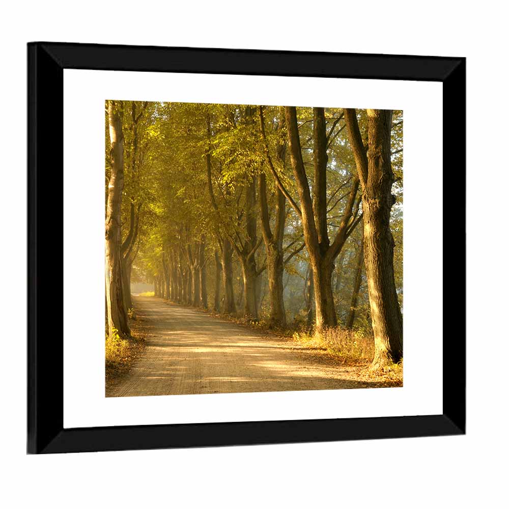 Autumn Road Through Golden Forest Wall Art