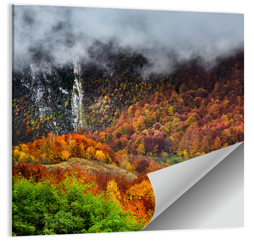 Misty Carpathian Autumn Wall Art