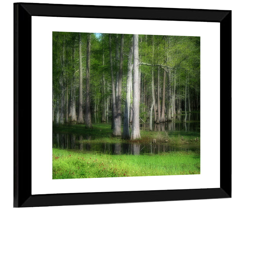 Lush Cypress Swamp Wall Art