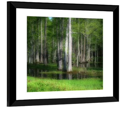 Lush Cypress Swamp Wall Art