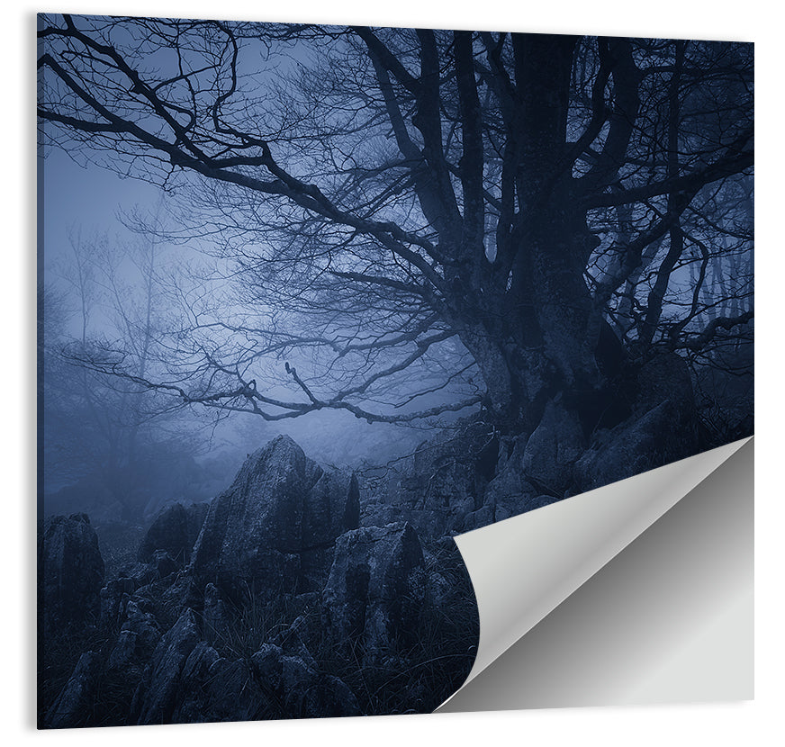 Gnarled Tree at Twilight Wall Art