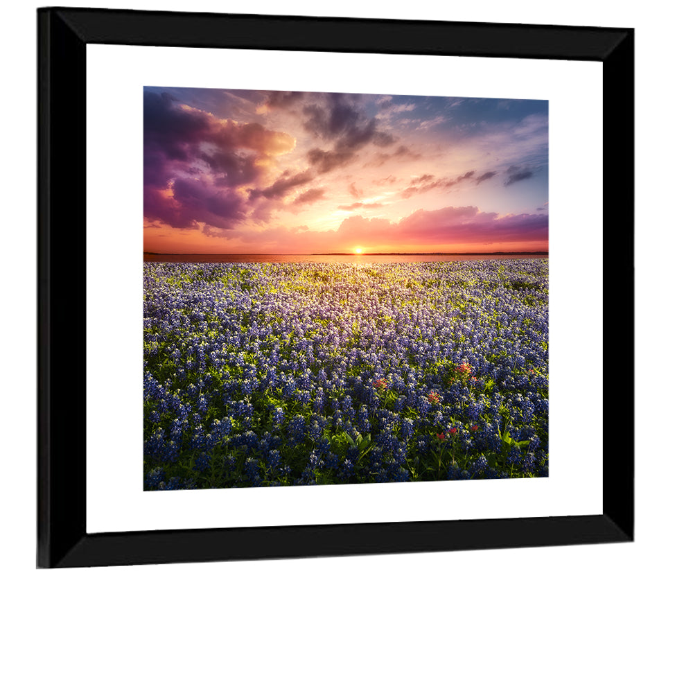 Texas Bluebonnet Sunset Wall Art