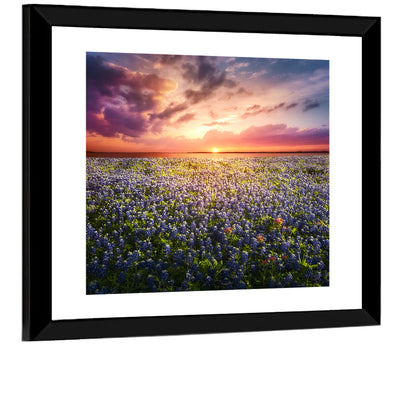 Texas Bluebonnet Sunset Wall Art