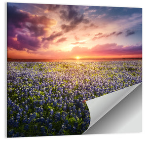 Bluebonnet Sunset Texas Wall Art