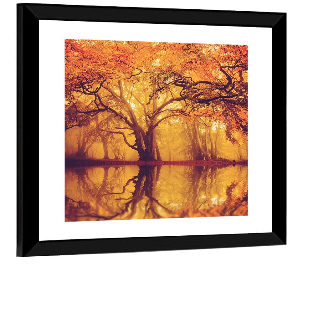 Golden Mist Forest Reflection Wall Art