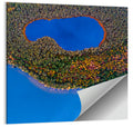 Autumn Forest Lake Wall Art