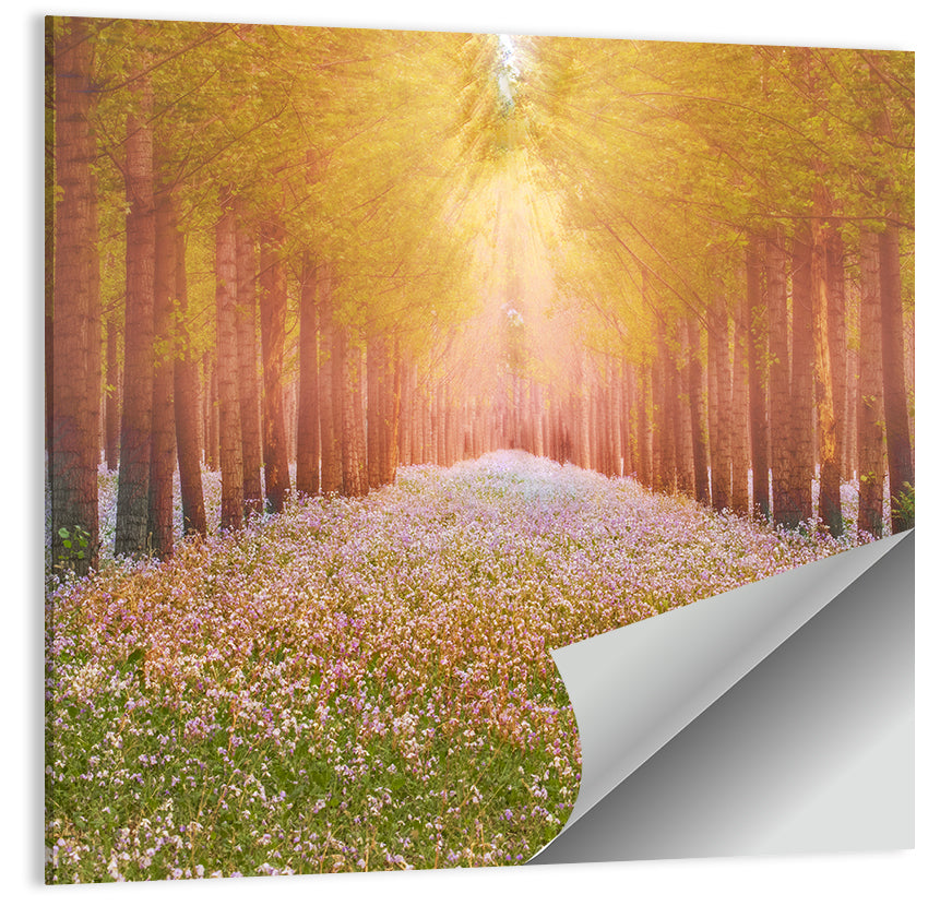 Golden Morning Forest Path Wall Art