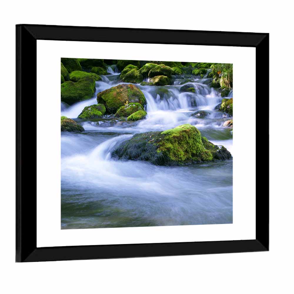 Mossy Forest Stream Wall Art