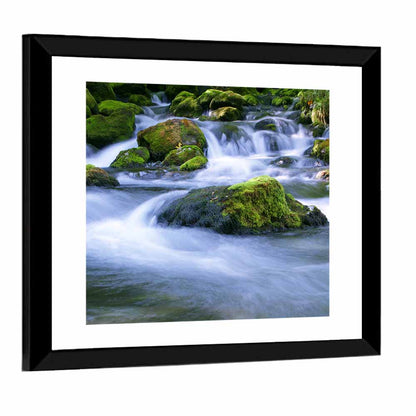 Mossy Forest Stream Wall Art