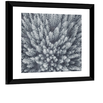 Forest Snowy Trees Wall Art
