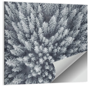 Forest Snowy Trees Wall Art