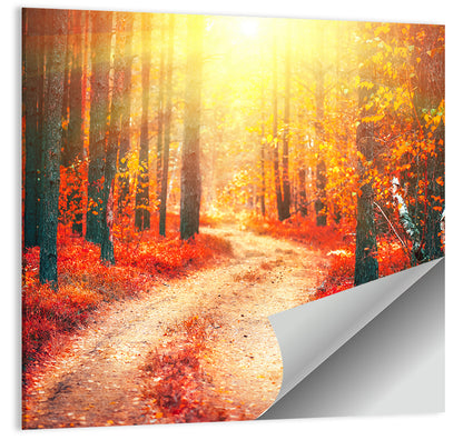 Golden Path Through Autumn Woods Wall Art