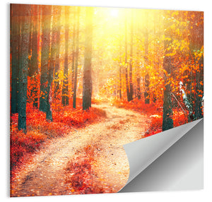 Autumn Forest Pathway Wall Art