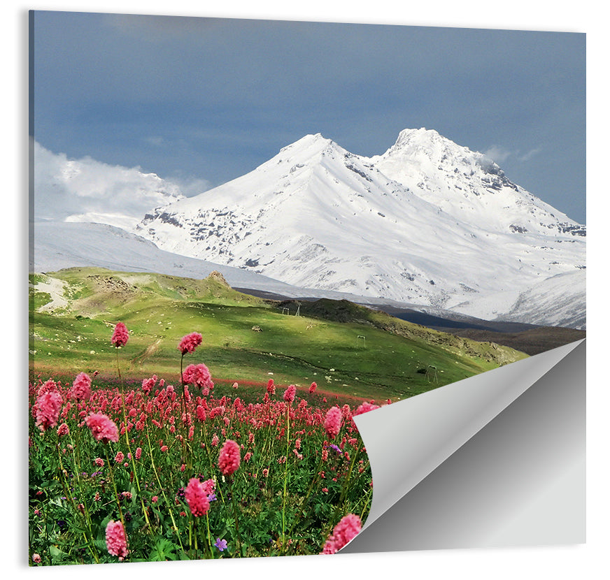 Caucasus Spring Wildflower Meadow Wall Art