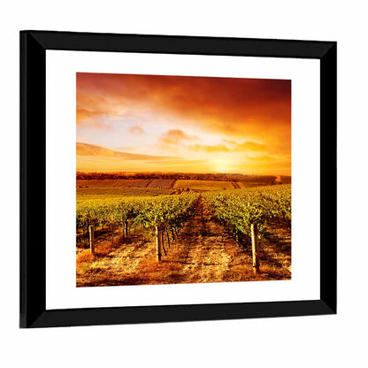 Australian Vineyard Sunset Wall Art