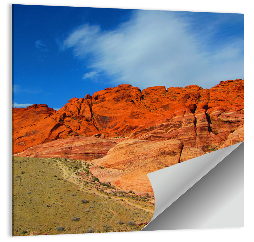 Red Rock Canyon Trail Wall Art