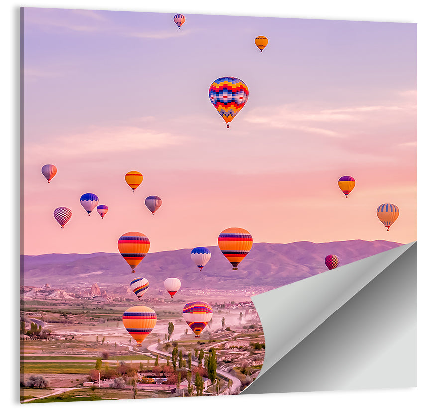 Cappadocia Hot Air Balloons Wall Art