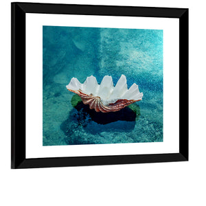 Beach Shell Wall Art