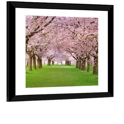 Blossoming Cherry Wall Art