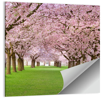 Cherry Blossom Avenue Wall Art