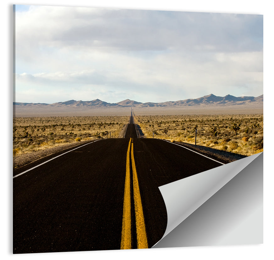 Nevada Desert Highway Wall Art