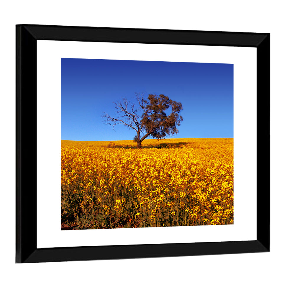 Canola Field with Lone Tree Wall Art
