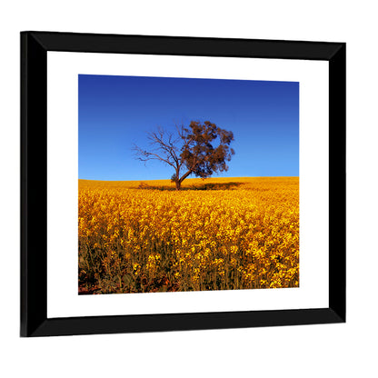 Canola Field with Lone Tree Wall Art