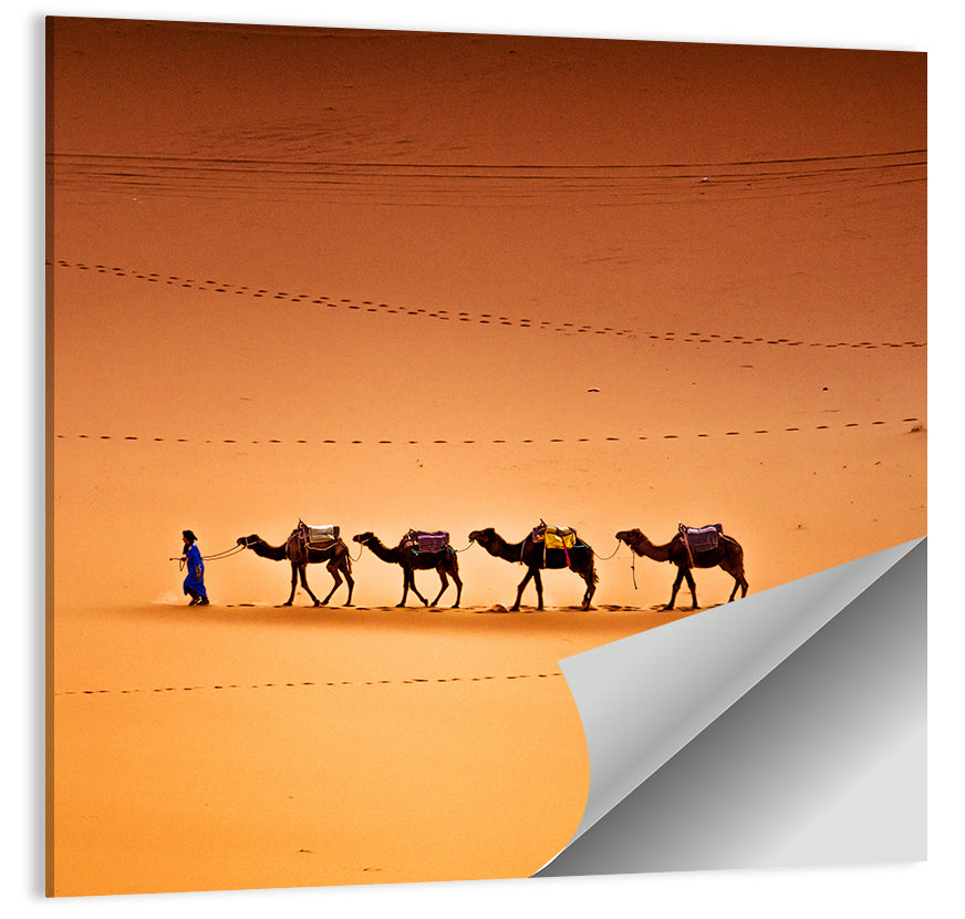 Sahara Camel Caravan Wall Art