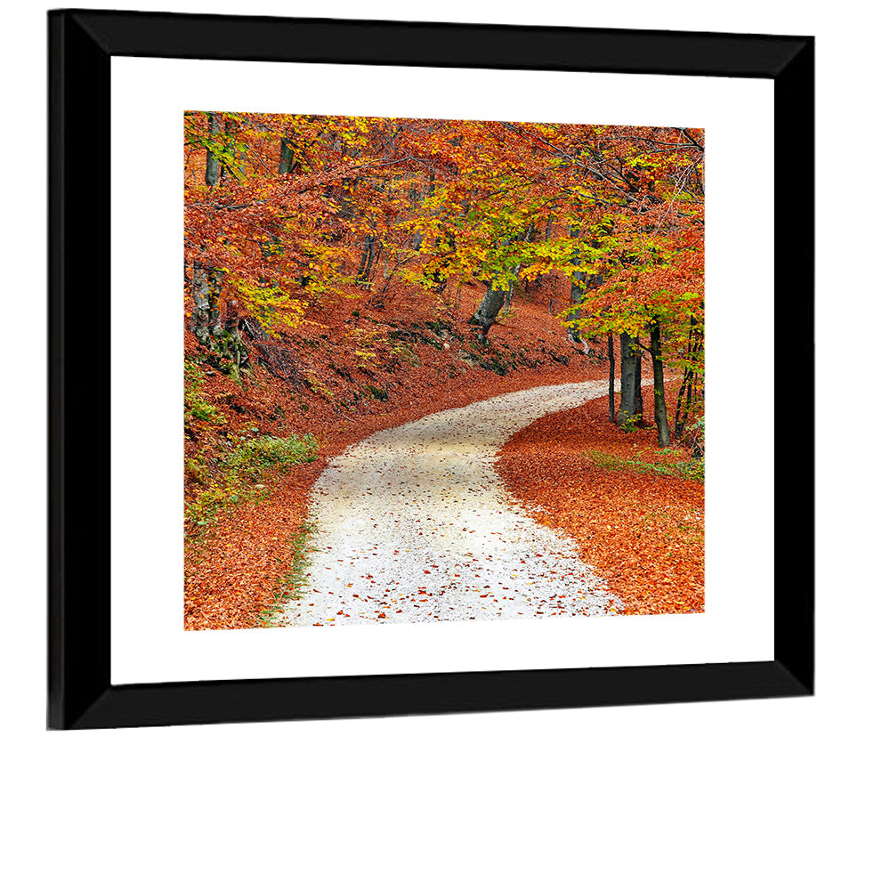 Misty Gravel Path Through Autumn Trees Wall Art