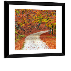 Misty Autumn Pathway Wall Art