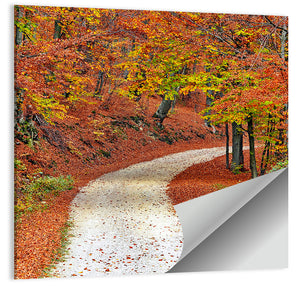 Misty Autumn Pathway Wall Art