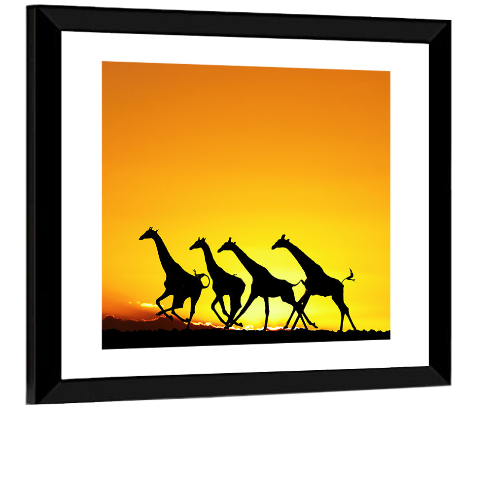 Savanna Giraffes at Sunset Wall Art