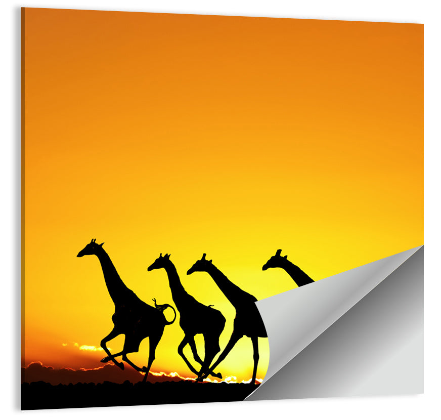 Savanna Giraffes at Sunset Wall Art